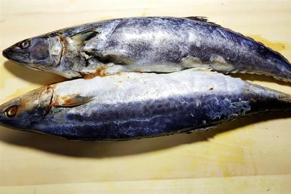 鲅鱼多少钱一斤，一斤5-25元左右