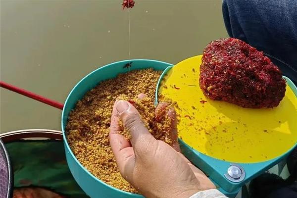 钓罗非鱼用哪种窝料，垂钓小罗非鱼首选腥饵