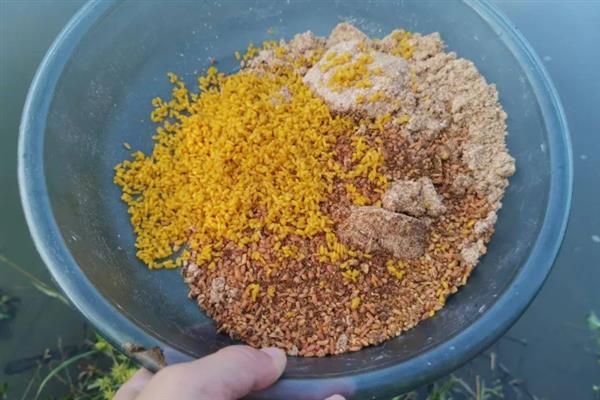 钓罗非鱼用哪种窝料，垂钓小罗非鱼首选腥饵