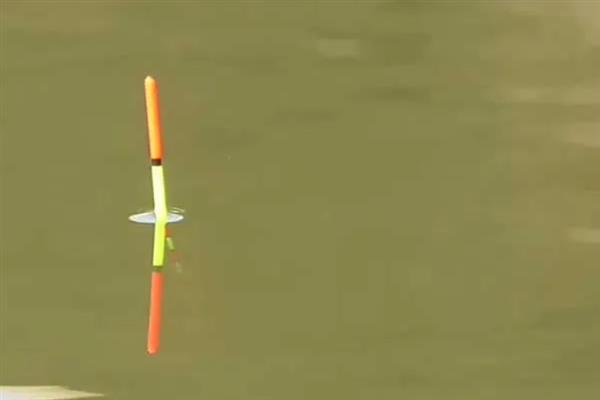 钓罗非鱼用哪种窝料，垂钓小罗非鱼首选腥饵