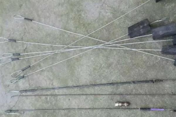 用哪种饵料钓黄鳝,蚯蚓是最适合的选择