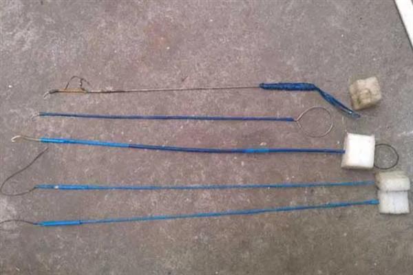 用哪种饵料钓黄鳝,蚯蚓是最适合的选择