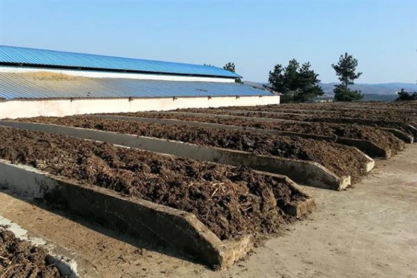 野生蚯蚓的养殖方法，每天对土壤洒一次水可防止蚯蚓脱水死亡