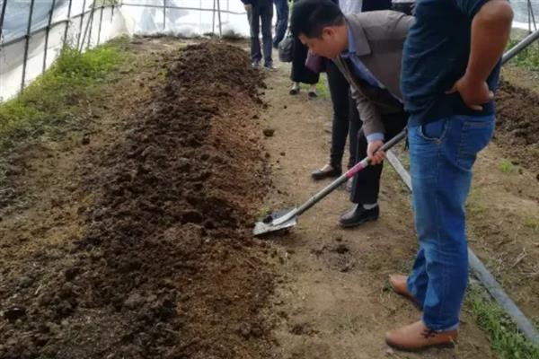野生蚯蚓的养殖方法，每天对土壤洒一次水可防止蚯蚓脱水死亡