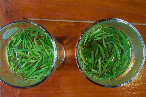 湄潭翠芽是哪种茶，属于炒青绿茶