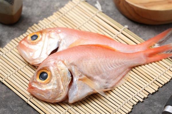常见的鲷鱼品种，常见的有真鲷、黑鲷等