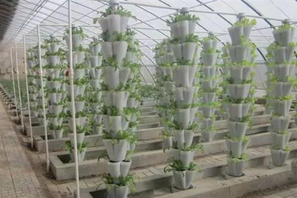 蔬菜如何进行无土栽培,花盆事先都要进行清洗和消毒