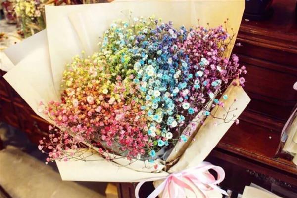 满天星的花语，寓意关怀照顾、清纯善良等