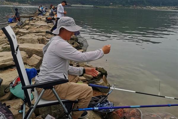5号溪流钩可以钓多重的鲫鱼，最适合垂钓5-8两的鲫鱼