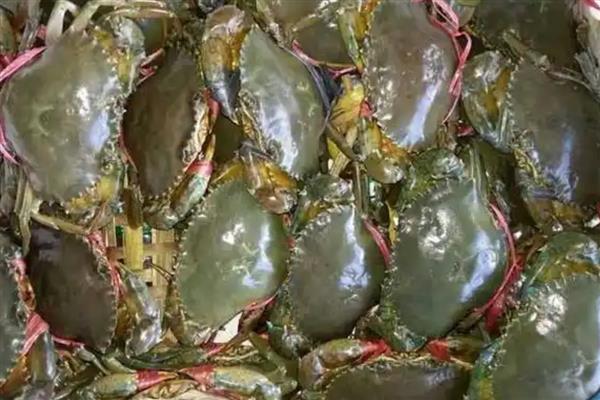 中国青蟹之乡是哪里，浙江三门县享有声誉