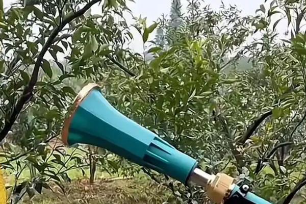 蔬菜怎么补钙，使用有机肥和石灰均可达到目的