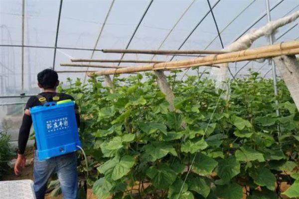 有哪些含氮高的肥料，有尿素、硝酸铵、氯化铵等