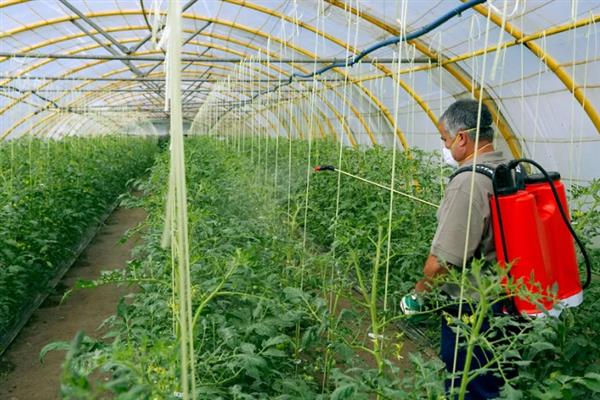 有哪些含氮高的肥料，有尿素、硝酸铵、氯化铵等