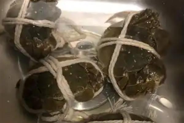 大闸蟹和毛蟹的区别，外观和产地均不同