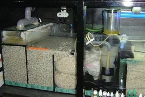 培养硝化细菌要不要打氧，属于好氧性细菌培育时必须打氧