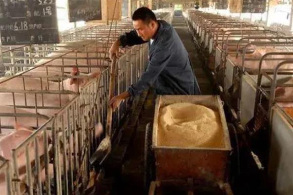 母猪为什么会便秘，大多是饲喂不当、环境突变、饮水不足等因素所致