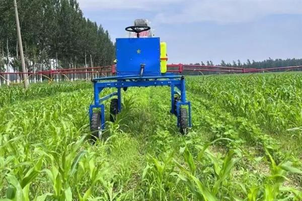玉米封闭除草剂打完下雨有影响吗，取决于雨的大小