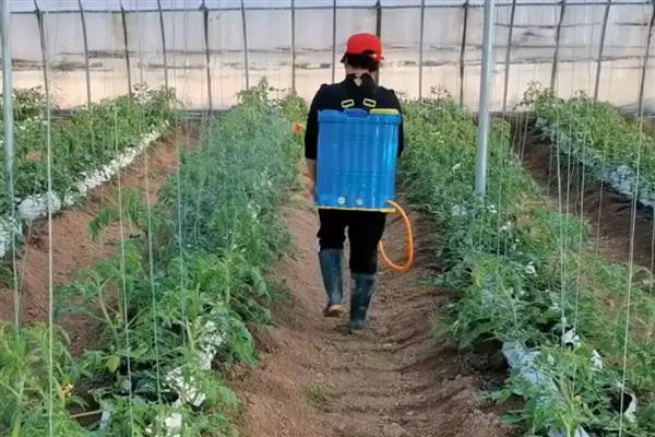 恶霉灵的适用病害，可有效防治花生白绢病、小麦纹枯病等