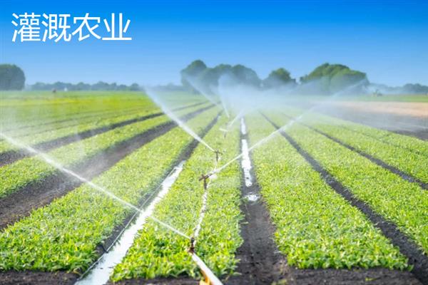 绿洲农业是生态农业吗，不属于生态农业