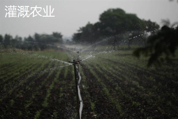 绿洲农业是生态农业吗，不属于生态农业