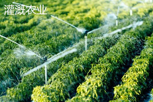 绿洲农业是生态农业吗，不属于生态农业