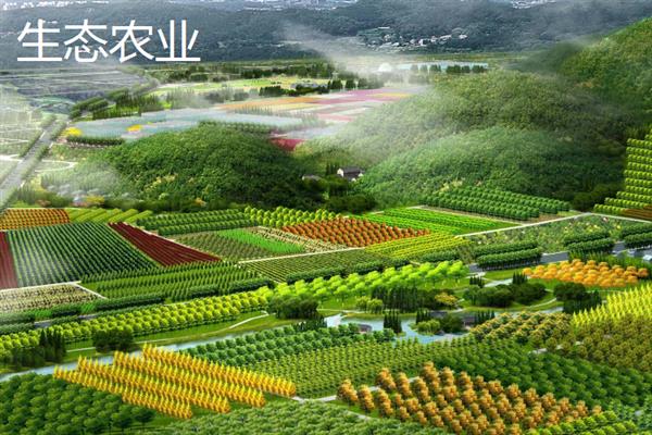 绿洲农业是生态农业吗，不属于生态农业