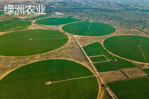 绿洲农业是生态农业吗，不属于生态农业