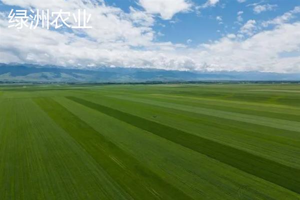 绿洲农业是生态农业吗，不属于生态农业