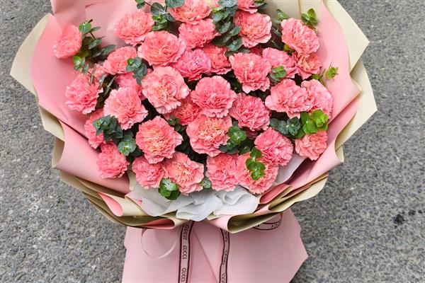 康乃馨的花语，寓意高贵优雅、热恋的爱等