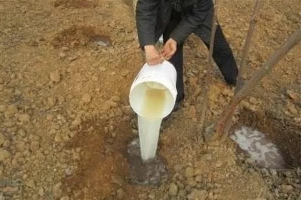哈茨木霉菌怎么使用，主要有灌根、拌种、拌土等6种方式