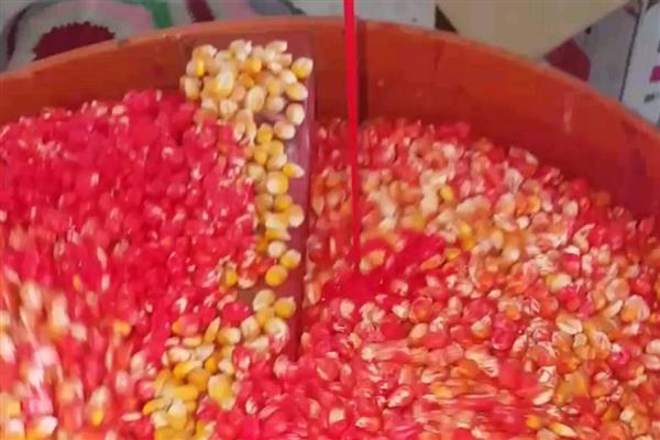 哈茨木霉菌怎么使用，主要有灌根、拌种、拌土等6种方式