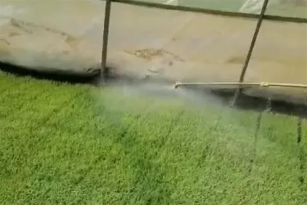 哈茨木霉菌怎么使用，主要有灌根、拌种、拌土等6种方式