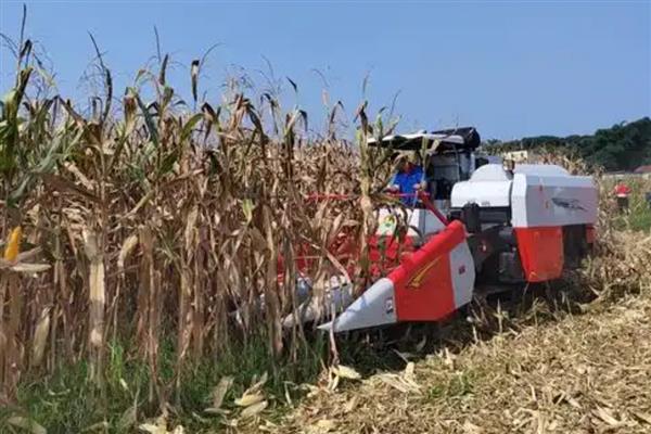 使用玉米联合收割机要注意什么，在田间的障碍物上设置警示标志有利于作业