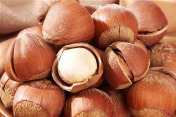 哪种坚果受欢迎，推荐榛子、松子等