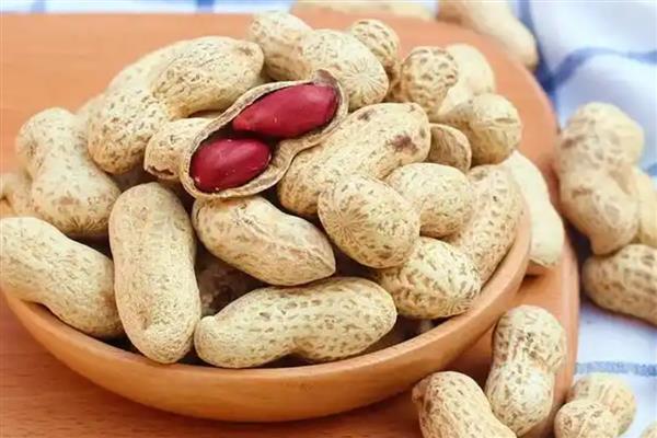 哪种坚果受欢迎，推荐榛子、松子等