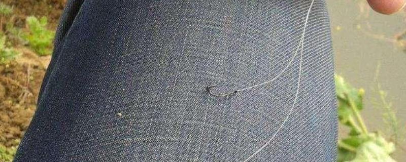 子线的适宜长度，主要取决于鱼情