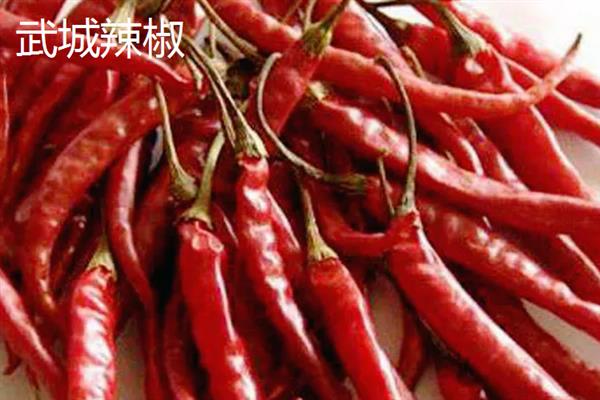 山东省武城县的特产，有三白西瓜、武城辣椒等