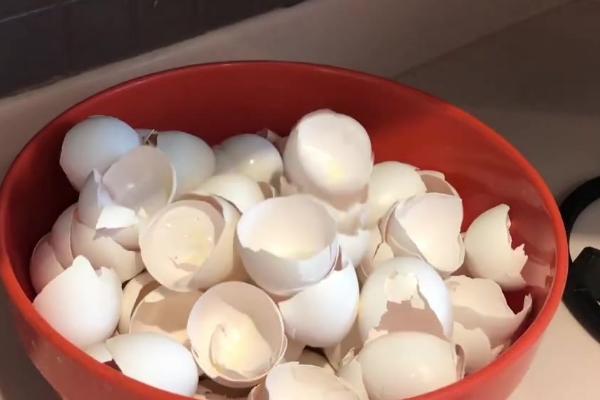 鸡蛋做肥料的原因,鸡蛋含有大量蛋白质、钙、镁等营养物质