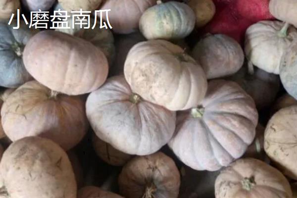 南瓜的品种，常见的有砍瓜、小磨盘南瓜等