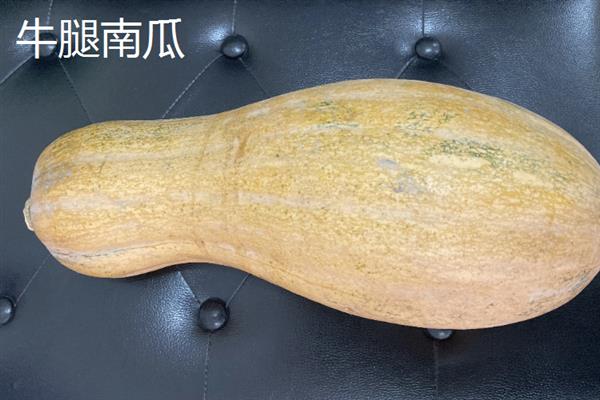 南瓜的品种，常见的有砍瓜、小磨盘南瓜等