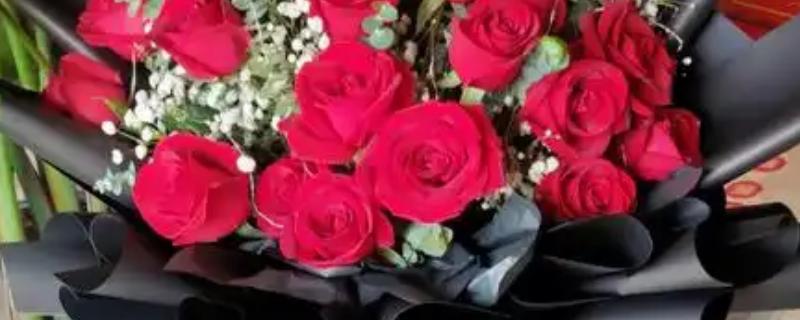 21朵玫瑰花的含义，代表你是我的最爱