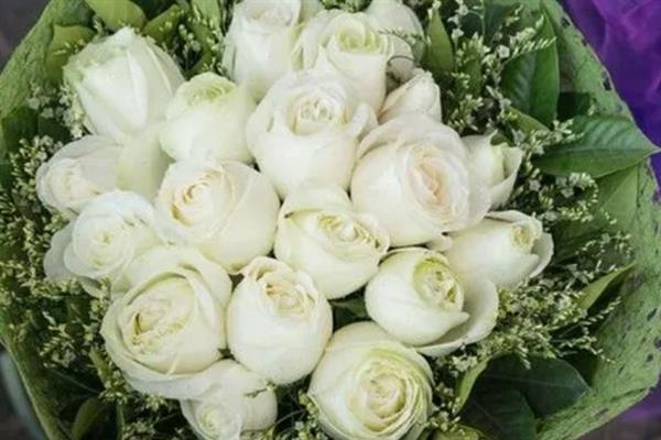 21朵玫瑰花的含义，代表你是我的最爱