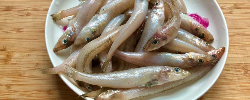 沙尖鱼是沙丁鱼吗，沙尖鱼不是沙丁鱼