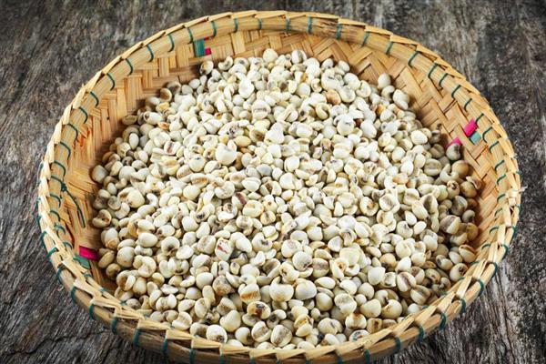 薏米怎么种植,苗高30厘米时追施碳酸氢铵