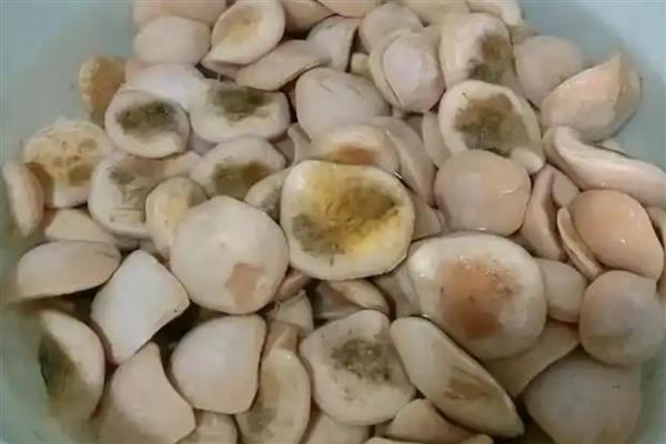 青鱼头里面的石头是什么，叫喉骨