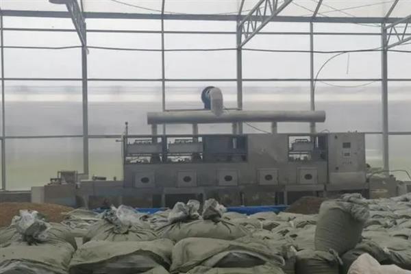 黑水虻怎么养殖，饲养幼虫需投喂麦麸