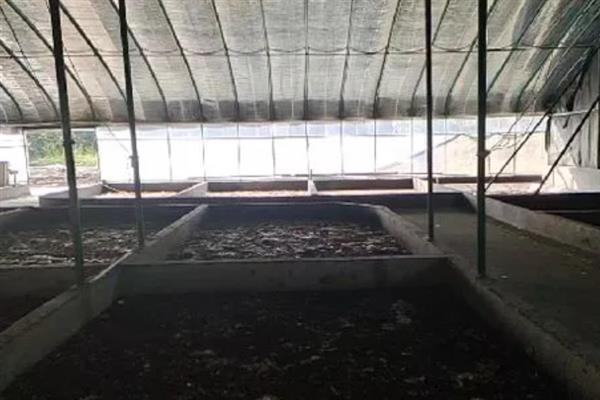 黑水虻怎么养殖，饲养幼虫需投喂麦麸