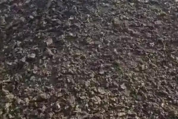 1吨鸡粪可以生产多少有机肥，可以生产0.3-0.6吨有机肥