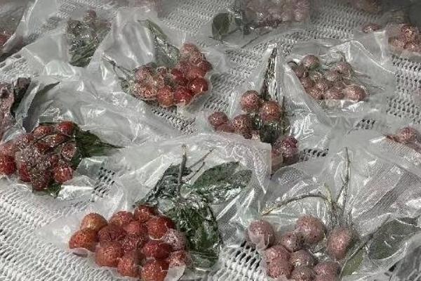 荔枝怎么保存，可冷藏也可泡水保存