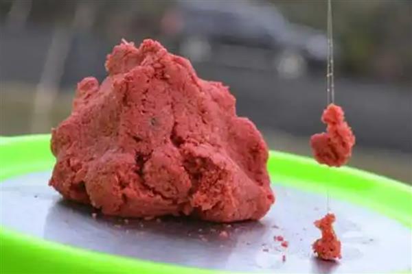 冬季钓鲤鱼用什么饵料，可使用自然饵或商品饵
